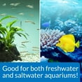 thumbnail image 5 of API Stress Zyme, Freshwater and Saltwater Aquarium Cleaning Solution, 16 oz, 5 of 6