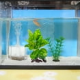 thumbnail image 3 of unbranded Accesorios De Acuario Artificiales Moradas Para Y Refugio, 3 of 5