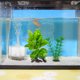 thumbnail image 3 of unbranded Accesorios De Acuario Artificiales Moradas Para Y Refugio, 3 of 5