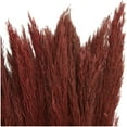thumbnail image 4 of 35" Dried Plant Natural Foliage Pampas Bouquet with Long Stems, by DecMode, 4 of 8