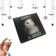 thumbnail image 1 of Adopta un fantasma - Adorno de fantasma de Halloween, 2024 nuevo fantasma de bolsillo súper lindo con un pequeño pergamino, fantasma de peluche de Halloween, mini muñeco de peluche fantasma, muñeco es, 1 of 7