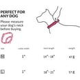 thumbnail image 3 of czcpp-Martingale Collar for Medium Dogs, Girl Dog Collar with Daisy Flowers, Heavy Duty No Pull Dog Collar Floral Design Dog Training Collar, Perfect for Training, Walking, Hunting (Light Blue, M), 3 of 4