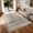 Grey, variant on Toyoso 5x7 Area Rug Living Room Rugs - Washable Large Soft Neutral Boho Moroccan Bohemian Farmhouse Rug Indoor Floor Carpet for Bedroom Under Dining Table Home Office Decor - Light Grey