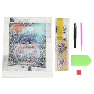 Amerteer DIY 5D Diamond Painting Kits Owl Paint with Diamonds Kit,Full  Drill Owl Diamonds Art Kit for Kids Adults,12×16 inches Exotic Owl