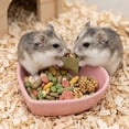 thumbnail image 5 of Anti-Tip Heart Shape Ceramic Pet Feeder Dish, Small Animal Food Water Bowl for Hamster, Guinea Pig, Chinchilla, Ideal Cage Accessory for Daily Feeding and Habitat Decoration, 5 of 6