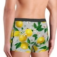 thumbnail image 3 of Goofa Lemon1 Printed Men's Boxer Briefs Underwear, Moisture-Wicking Underwear, Trunk,Soft and Breathable Cotton Underwear-XX-Large, 3 of 9