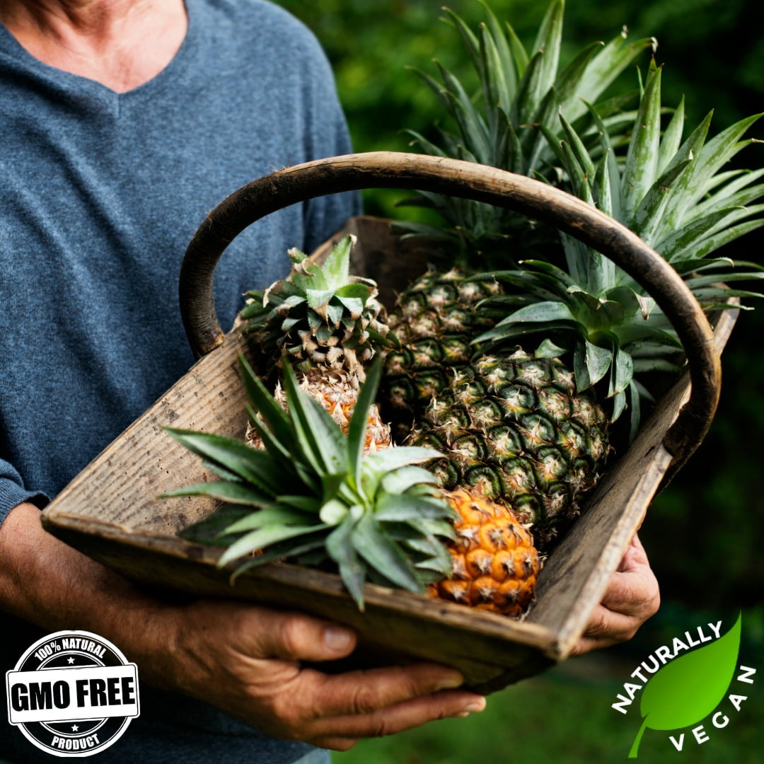 GERBS Dried Pineapple Cubes 2 LBS. | Freshly Dehydrated Resealable Bulk Bag | Top Food Allergy Free | Sulfur Dioxide Free Diced Pineapple|Effective in acne flairs & bone health | Gluten & Peanut Free