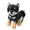 Black13.8in, variant on Puppy stuffed animal plush toy Cartoon Shiba Inu Dolls Stuffed Soft Animal Toy Birthday Christmas Gift