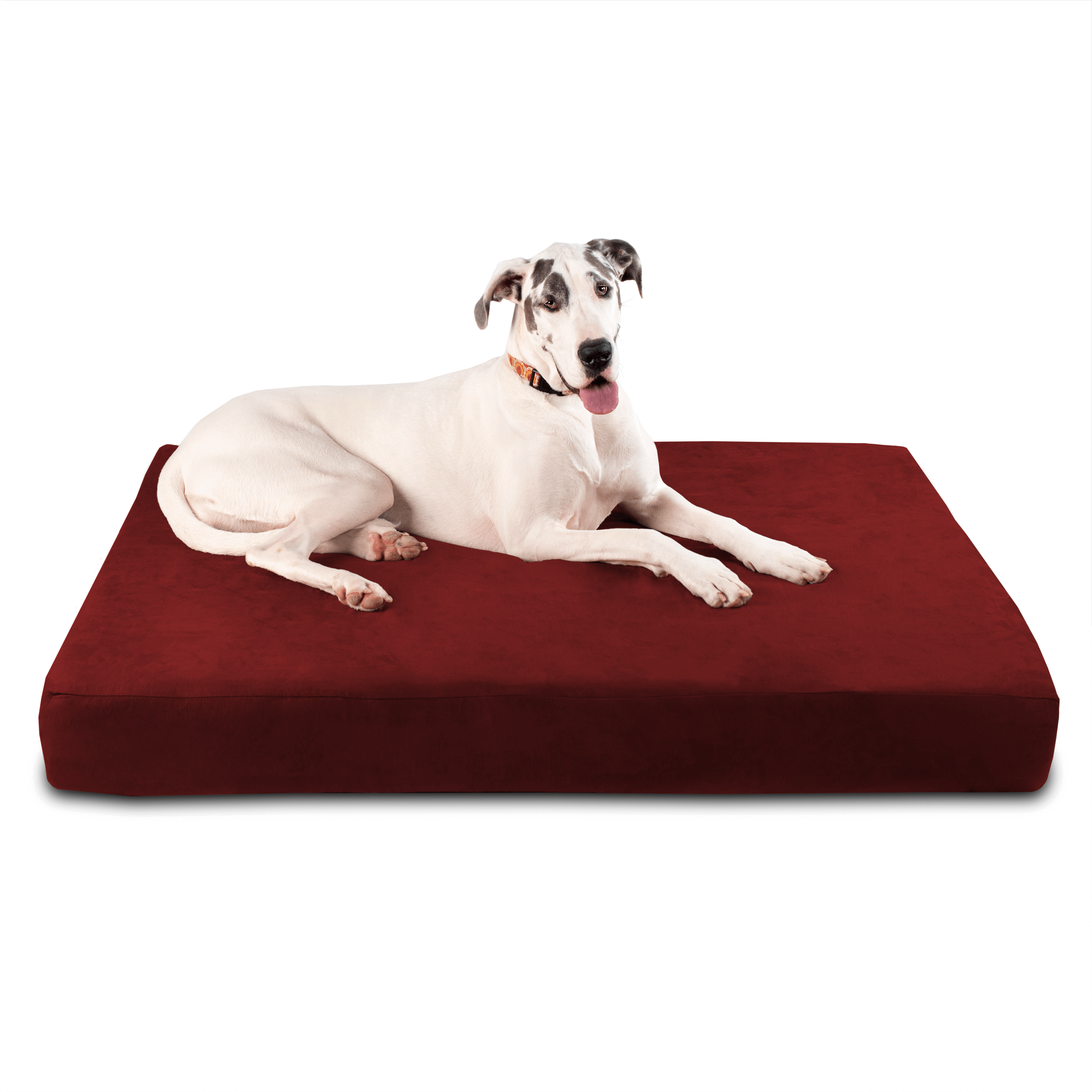 Big Barker 7" Pillow Top Orthopedic Giant Dog Bed, Burgundy, Sleek
