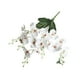 thumbnail image 2 of Simulación de flores, 5 tenedores, mariposas, orquídea, película, mango pequeño, luces de flores, arreglo floral de lujo para el hogar, sala de estar, flores falsas, decoraciones para bodas, fiestas,, 2 of 6