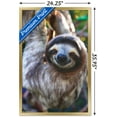 thumbnail image 3 of Sloth - Smile Wall Poster, 22.375" x 34", Framed, 3 of 3