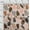 Brown, variant on oneOone Cotton Jersey Brown Fabric Stripe & Leaves Block Sewing Material Print Fabric By The Yard 58 Inch Wide