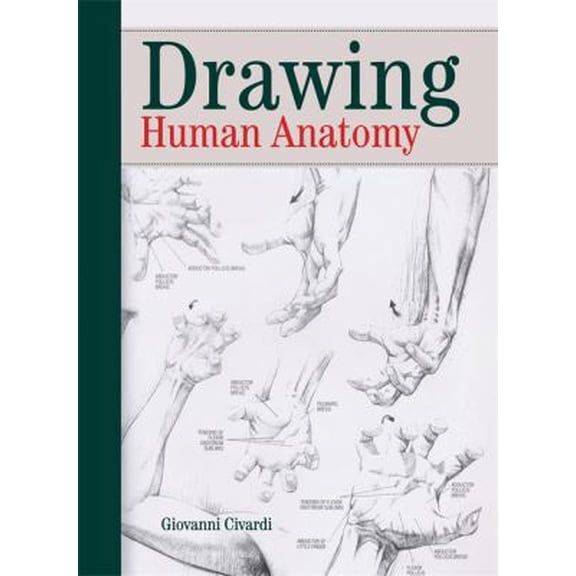 Pre-Owned Drawing Human Anatomy (Paperback) 0289800897 9780289800898