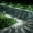 Cool White, variant on 10PACK Super Bright Solar Lights Outdoor Waterproof-, Dusk to Dawn Up to 12 Hrs Solar Powered Outdoor Pathway Garden Lights Auto On/Off, LED Landscape Lighting Decorative for Walkway Patio Yard