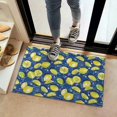 thumbnail image 2 of Yellow Lemon Fruit Slices Blue Pattern Door Rugs,Washable Non Slip Door Mats Indoor,Decorative Door Mats,Entry Mat Indoor for Entrance,Bedroom,Kitchen,Bathroom,16"x24", 2 of 6