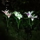 thumbnail image 5 of Lámpara de césped LED estilo lirio con energía solar, luz de jardín de 3 colores para patio al aire libre, 5 of 8