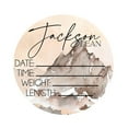 thumbnail image 1 of Birth Announcement Plaque Engraved Ornamental Cute Baby Name Reveal Sign Keepsake for Photo Props, 1 of 10