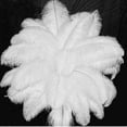 thumbnail image 2 of 1~50pack 30-35cm Large Ostrich Feathers Plume Craft Wedding Party Decorations, 2 of 5