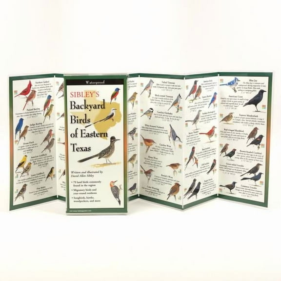 FoldingGuides: Sibley's Backyard Birds of Eastern Texas (Other)