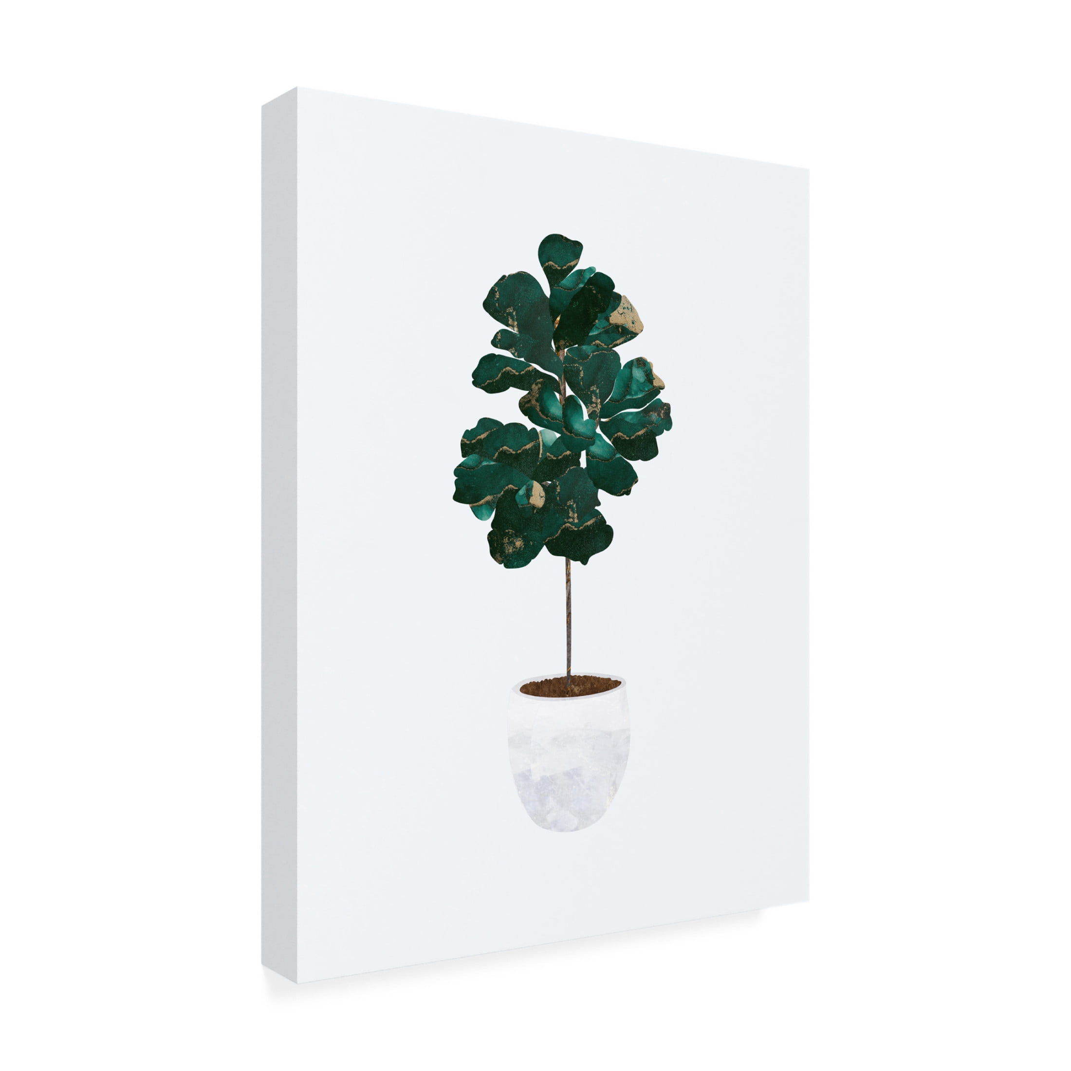 Trademark Fine Art Sarah Manovski Fiddle leaf fig Canvas Wall Art
