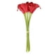 Mariage Fête Maison Cadeau Calla Lis Artificiel Fleurs Artificielles Bouquet Rouge 12 Pcs – image 1 sur 1