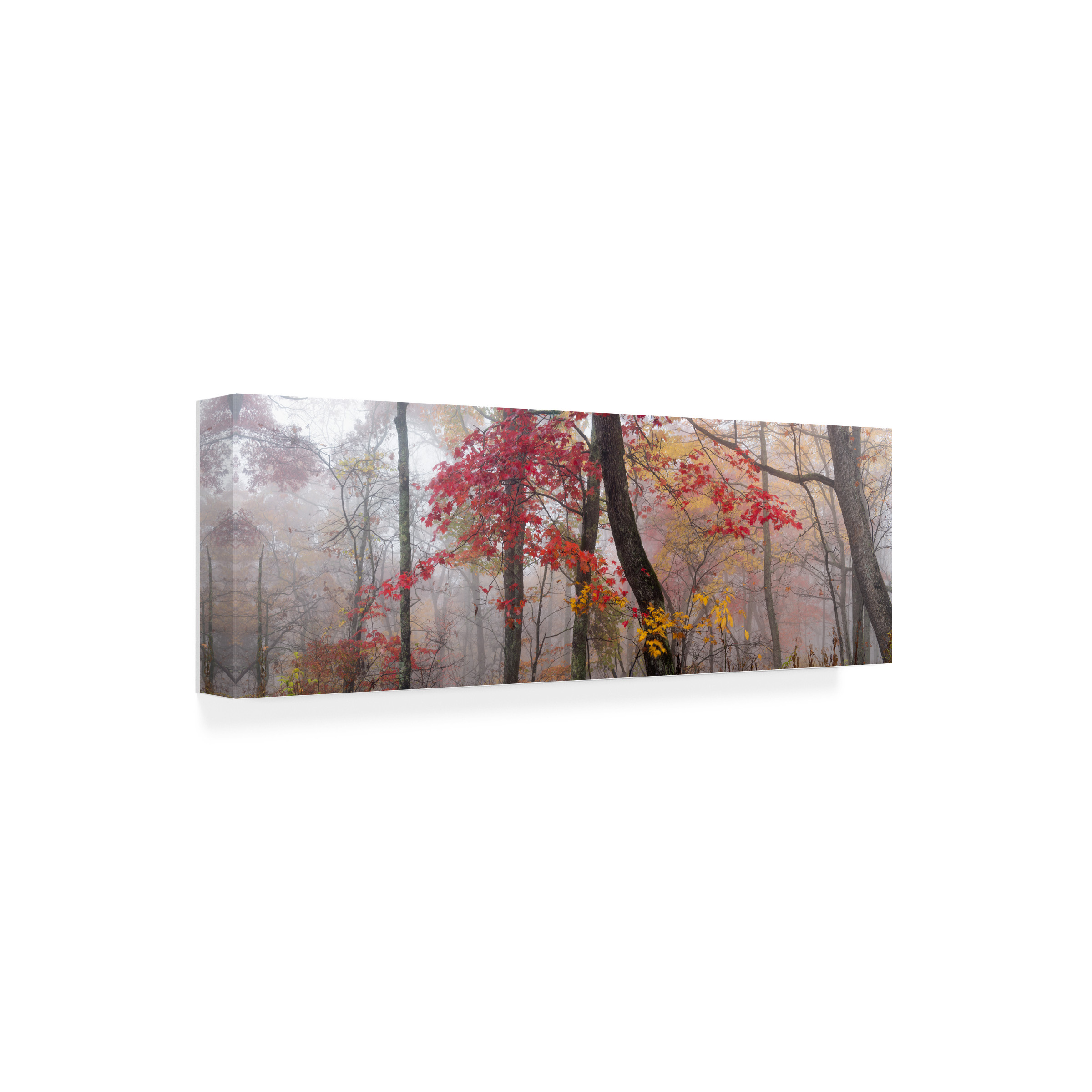 Trademark Fine Art 'Garnet And Gold' Canvas Art by Doug Cavanah