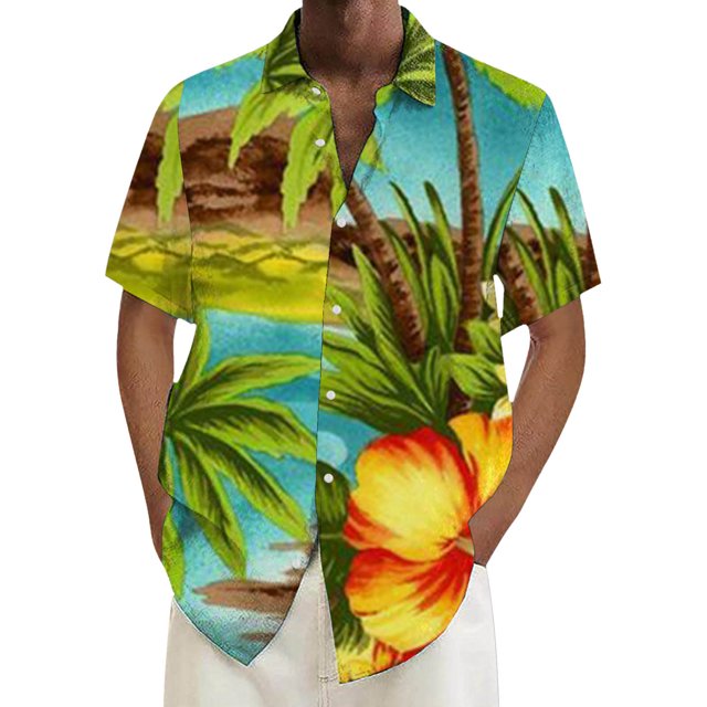 Camisas Y s Camisa para hombre Camisa de playa de manga corta holgada informal (AG, L)
