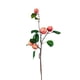 thumbnail image 1 of 1 rama/rojo especificaciones: aproximadamente 48 cm de largo 1 rama/5 frutas Ramas de frutas simuladas flores artificiales de plástico ANGGREK Otros, 1 of 8