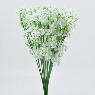 Omldggr 5 Pack Potted Babys Breath Artificial Flowers, 5 Colors Faux Baby  Breath Flowers in Pots Gypsophila Plants Artificial Babies Breath Flowers