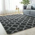 thumbnail image 6 of SHANNA Fluffy Shaggy Area Rug Soft Floor Carpet for Kids Nursery Dorm Bedroom Living Room, 6 of 9