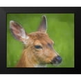 thumbnail image 2 of Mahan, Kathy 18x15 Black Modern Framed Museum Art Print Titled - Blacktail Deer I, 2 of 5