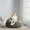 Gray, variant on Bean Bag Chair 2.3Ft, Memory Foam Filled, Large Beanbag Chairs for Adults and Teens, Soft Sofa with Removable Flannel Cover, Round Couch for Living Room Bedroom College Dorm