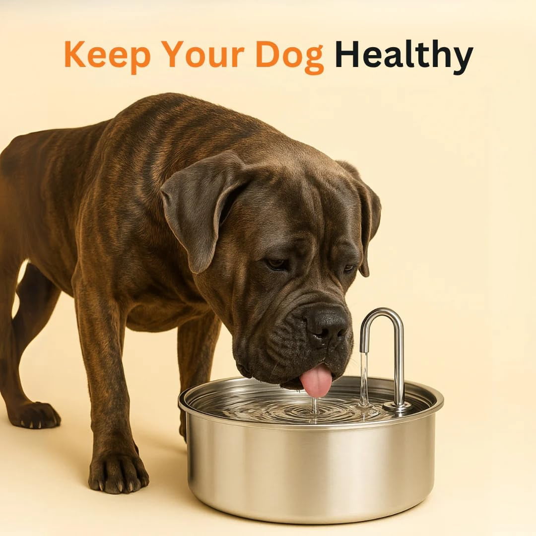 3.2L Pet Water Fountain, Large Capacity Dog Stainless Steel, Silent Low-Noise Design, Multi-Filtration, LED Low‑Water Alert, Suitable for Home Use