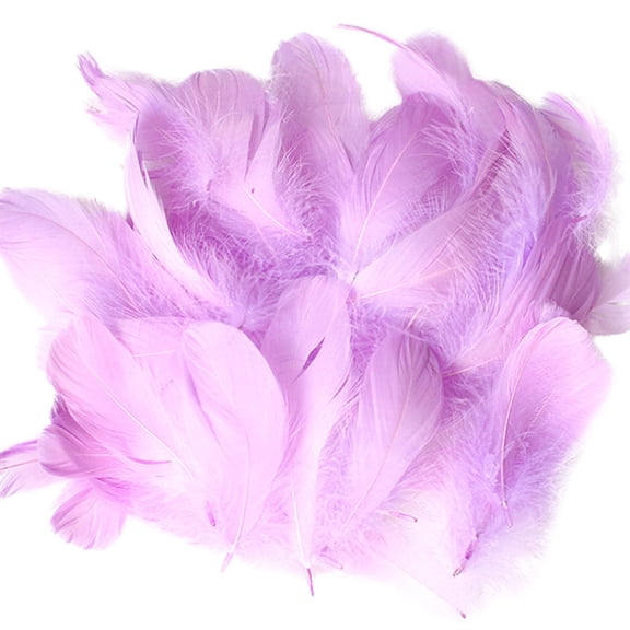 Arts & Crafts DIY Toys - 50 Set Colorful Natural Feather Craft Kit for Kids - Manually Crafted Animal Decoration Materials for Play