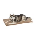 thumbnail image 1 of MidWest Homes for Pets QuietTime 48 Inch Deluxe Micro Terry Large Dog Pet Bed, 1 of 5