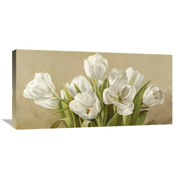 Global Gallery Serena Biffi 'Tulipani bianchi' Canvas Wall Art