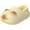 Winter Styles-e, variant on Ymbolf Cat Paw Print Slippers, Unisex EVA Cute Cat Sandals, Non-Slip Thick Sole Summer Clogs for Women Men , Cute Animal Ultra-Thick Height Increase Cat Slipper
