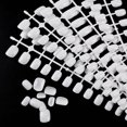 thumbnail image 3 of 120Pcs Small Short Nail Tips for Children Nail Practice Nail Polish Display (White), 3 of 7