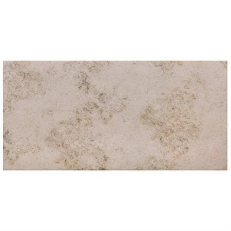 Jura 12" x 24" Matte Porcelain Field Tile in Light Grey
