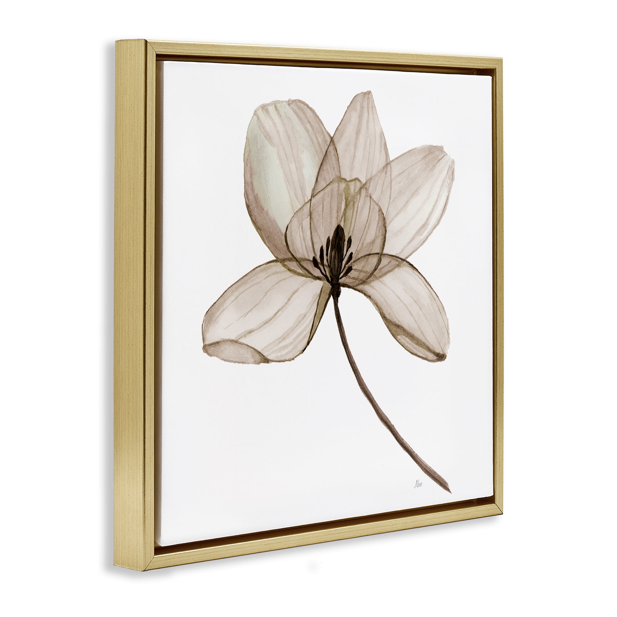 Stupell Industries Beige Opaque Blossom Plants & Flowers Painting Gold Floater Framed Canvas Art Print Wall Art, 18 x 18