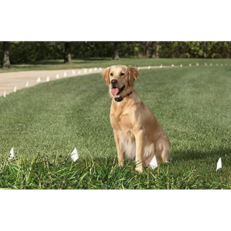 Petco citronella cheap collar