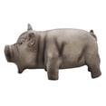 thumbnail image 2 of Lindo cerdo gruñendo chirrido látex juguetes masticables para mascotas para perro cachorro juguete (negro), 2 of 8