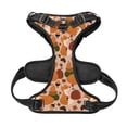 thumbnail image 5 of Lsque Autumn Fox Pumpkin Lazy Dog Harness, No-Pull Pet Harness with 2 Leash Clips, Adjustable Soft Padded Dog Vest with Easy Control Handle for Large Dogs-Medium, 5 of 9