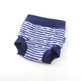 thumbnail image 2 of Pantalones de entrenamiento para bebés Piscina para niños Cintura alta Inodoro con fugas Pantalones de natación para bebés, 2 of 6