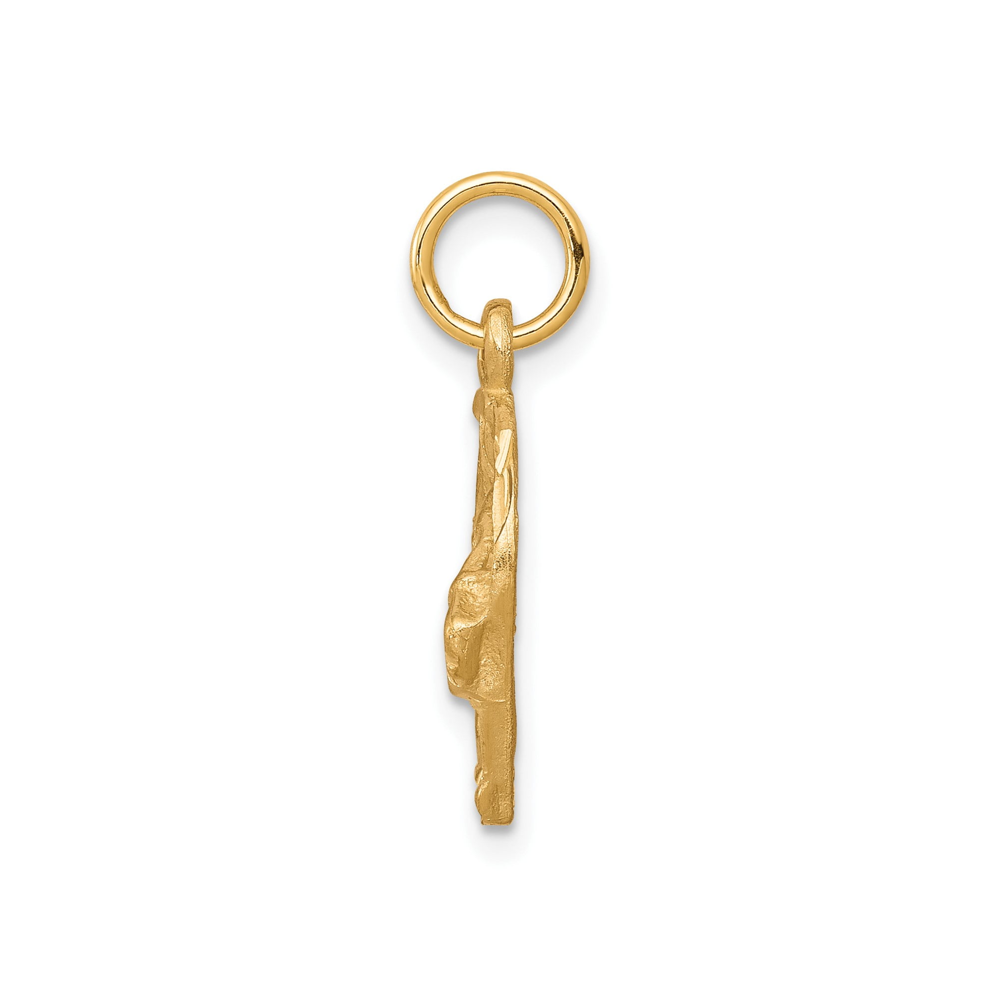 10k Yellow Gold Horse Head Pendant with Horseshoe Design for Men and Women, Western Equestrian Jewelry Symbolizing Strength and Freedom, Country Animal Necklace