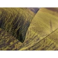 thumbnail image 4 of Ambesonne Wine Quilted Bedspread Set 3 Pcs, Italy Tuscany Vineyard, King Size, Green Black Brown, 4 of 5
