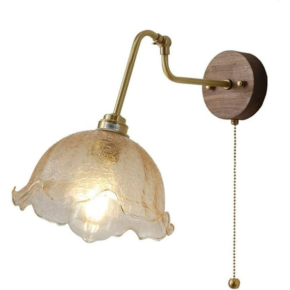 Vintage Wall Sconce Lighting Dome Glass Wall Lamp with Pull Chain Switch, Retro Walnut Wall Mount Light Bedside Wall Lamps for Living Room Bedroom Hotel Study