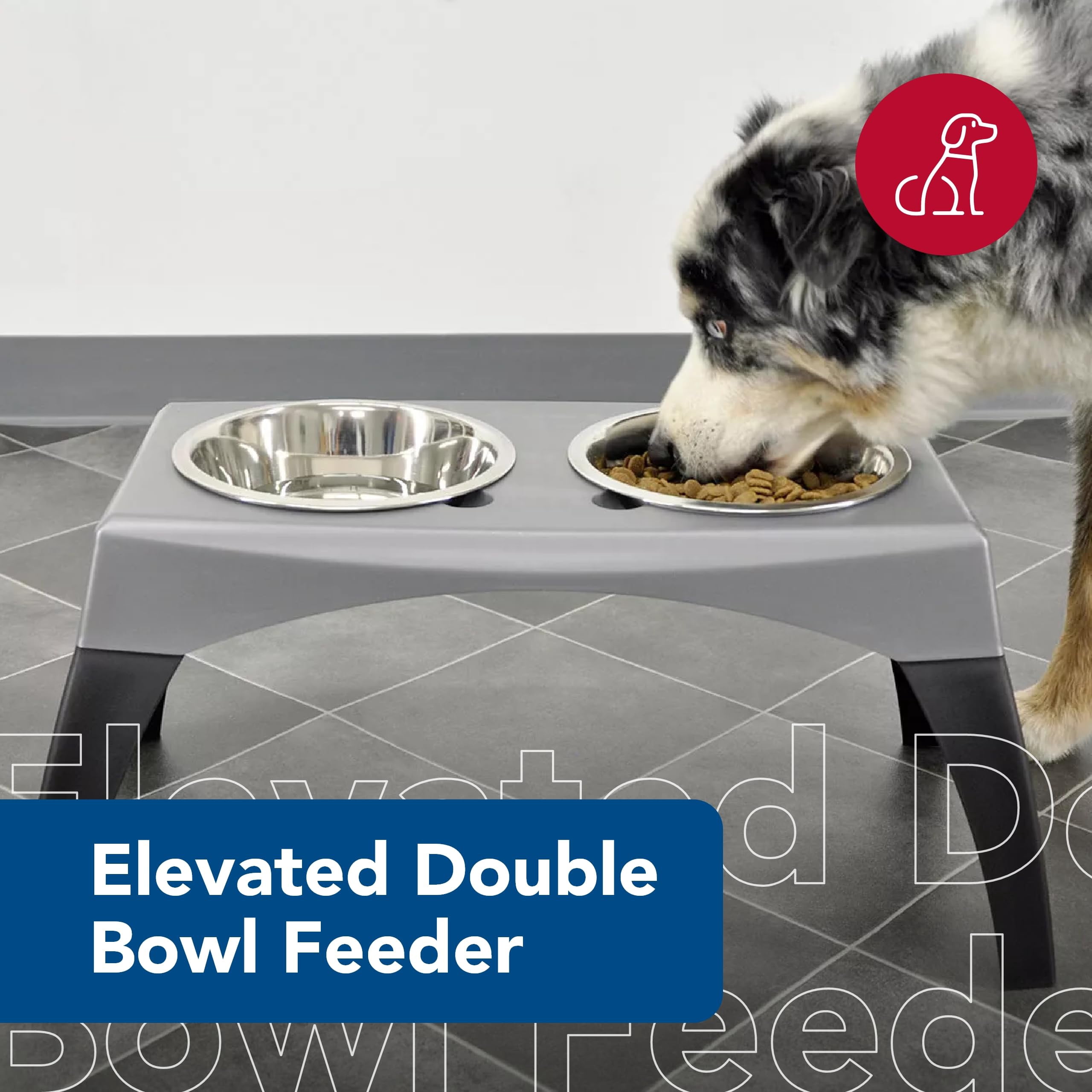 Coastal Pet Maslow Elevated Feeder - Raised Dog, Cat and Pet Food Bowls - Removable Stainless Steel Bowls - Grey/Black - X-Large (Single Pack)