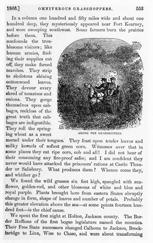 Plague C1866 Na Description Of The Plague In Kansas During The 1860S
