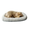 thumbnail image 1 of Realistic Sleeping Plush Breathing Cat Furry Dog with Mat Creative Animals Decor, 1 of 3